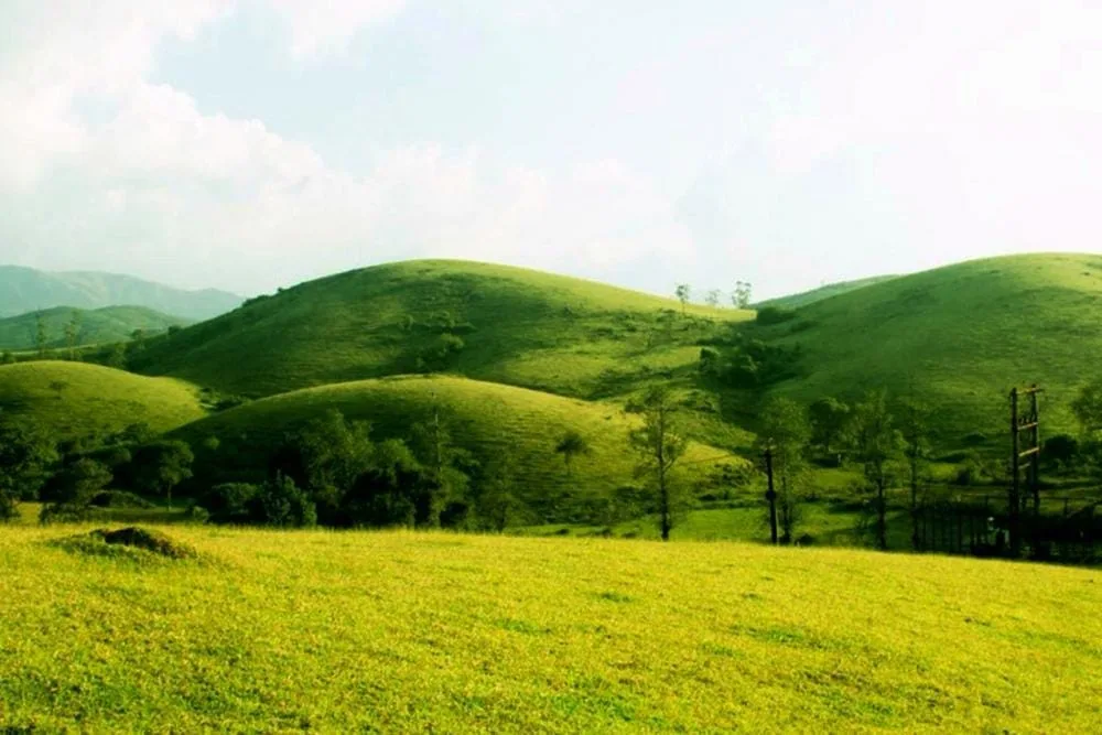 Green meadow and rolling hills in Vagamon